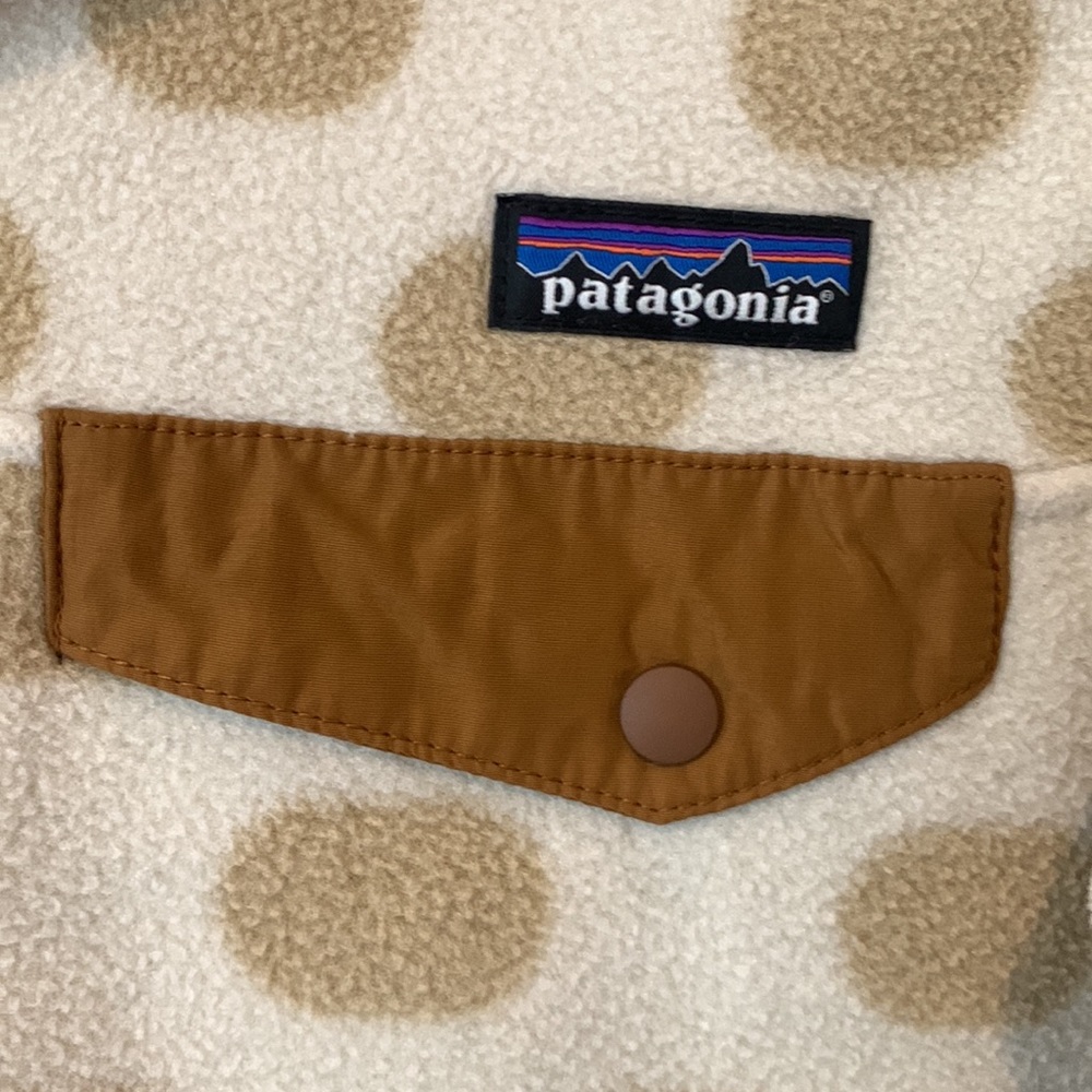 Patagonia Special Edition Synchilla Snap-T Fleece Pullover - Picture 5 of 7